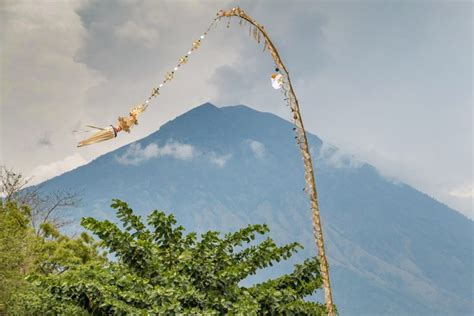 Penjor: The Meaning Behind Bali's Decorative Bamboo Poles - NOW! Bali