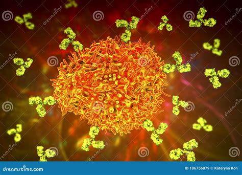 Plasma cell and antibodies stock illustration. Illustration of lymphocyte - 186756079