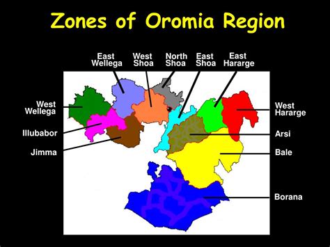 PPT - Oromia Region: Environmental and livestock characteristics PowerPoint Presentation - ID ...