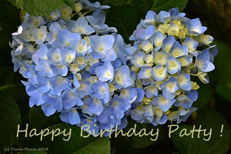 Happy Birthday Patty by youlittlemonkey on DeviantArt