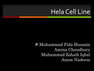 Hela cell lines | PPT