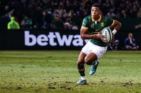 Road to the RWC | Springbok player profile: Grant Williams