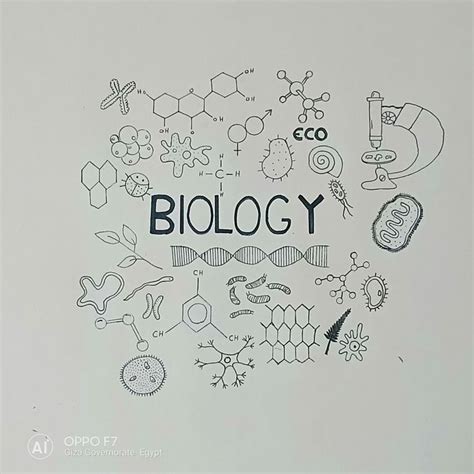 Biology doodles #doodles #biology #science | Biology projects, Science doodles, School book covers