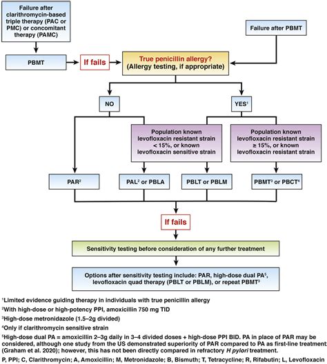 What Happens If H Pylori Treatment Fails - happychristmaswishes2012