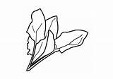 Simple Spinach coloring page  Download Print Or Color Online For Free sketch template