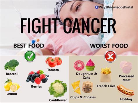 Make Life Easier: The Best Foods for Cancer Patients