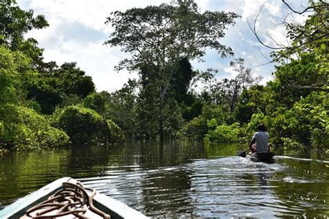 Ucayali River (Atalaya) - 2020 All You Need to Know BEFORE You Go (with Photos) - Tripadvisor