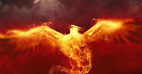 Mythical Fiery Bird Phoenix In Mythologies Of Many Ancient Cultures | Ancient Pages