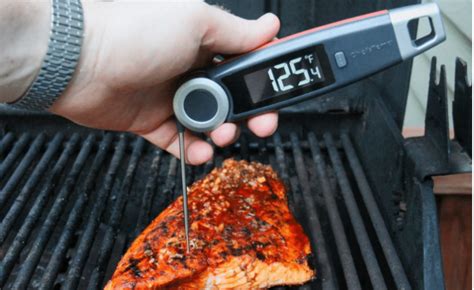 How To Use A Meat Thermometer Correctly? - Cafe Feedz - Food and Cooking Ideas