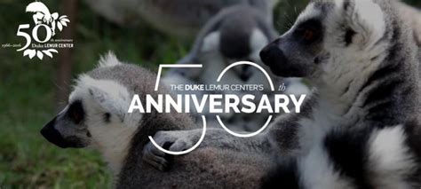 50 Years of Lemurs at Duke | Duke University Libraries