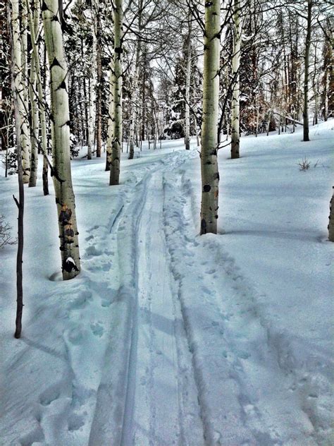 9 Terrific Fall Hikes in Vail, CO | Best Hiking Trails for Fall Colors