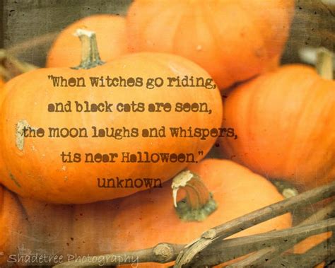 Pumpkins Orange Fall Autumn Halloween Witches Quote Orange