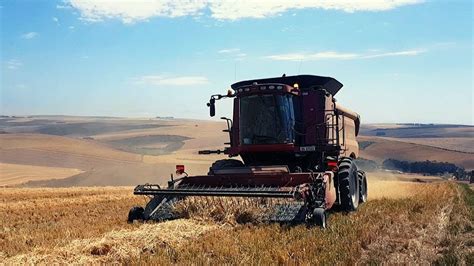 Adico Boerdery Harvest 2019 | Harvesting in Overberg, South Africa ...