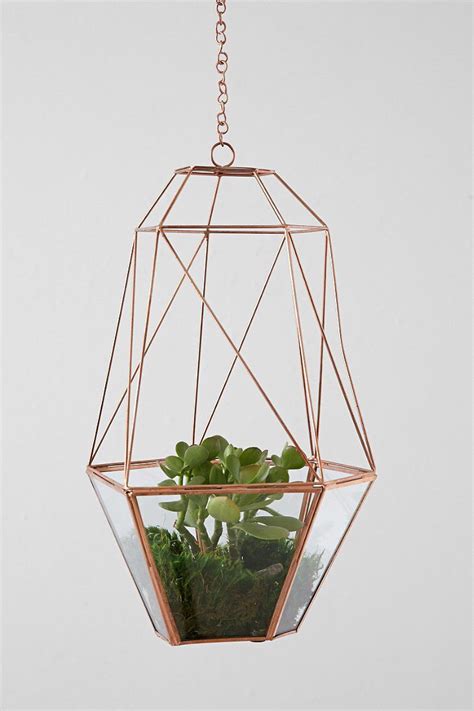 Hanging plant Indoor Garden, Indoor Plants, Home And Garden, Interior Inspiration, Room ...