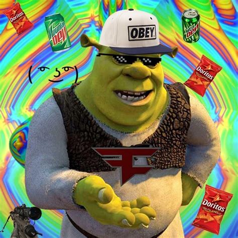 MLG Meme, Shrek Meme, HD Wallpaper Peakpx, 47% OFF