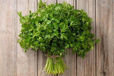 6 Best Herbs for Mexican Cooking