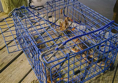 The Best Crab Traps of 2024 | Outdoor Life