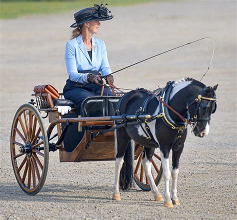 Preserving the tradition of carriage driving in Ontario