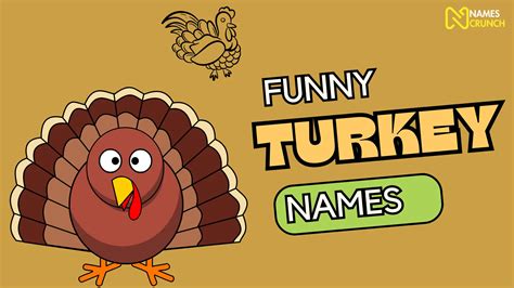 250+ Funny Turkey Names - Names Crunch