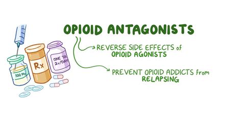 Opioid antagonists: Video, Anatomy & Definition | Osmosis