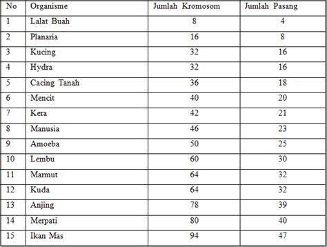 Apa Itu Kromosom? Fungsi, Letak, Struktur, Jenis dan Dilengkapi Gambarnya – Blog Mamikos