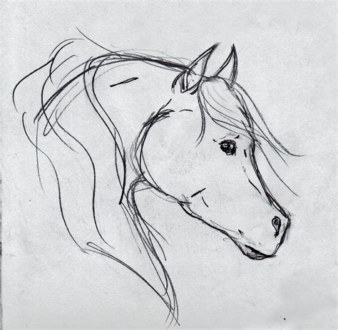 Horse Head Sketch, Abstract Other by OnlyYouCan - Foundmyself