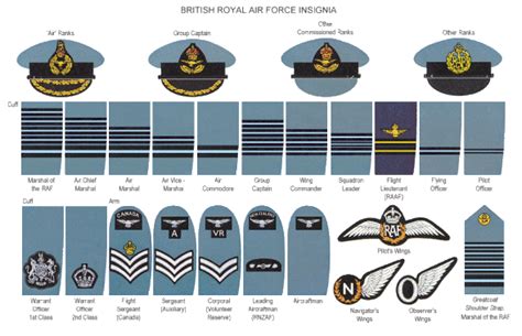 Her Majesty's Services: A Brief Guide to British Armed Forces Ranks ...