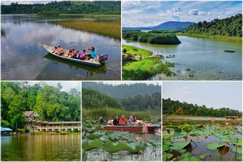 Tasik Chini, Tasik Semula Jadi Kedua Terbesar Malaysia Bakal Diwartakan ...