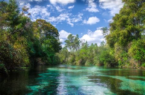 The Weeki Wachee River | Florida Paddle Notes