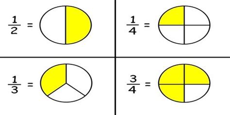 Fractions Definition with Examples - Assignment Point