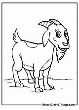 Goat Coloring sketch template