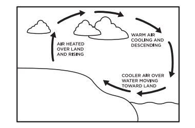 What Is The Result Of Convection Currents In The Atmosphere | Chemistry ...