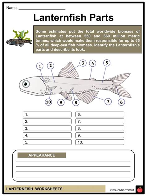 Lanternfish Worksheets & Facts | Habitat, Species, Characteristics