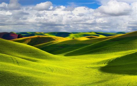 Wheat Field With Green And Yellow Hills Relief Beautiful Blue Sky With White Clouds Wallpaper Hd ...