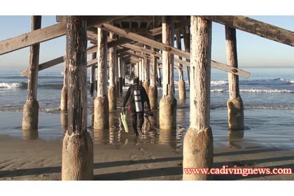 Newport Pier | California Diving News