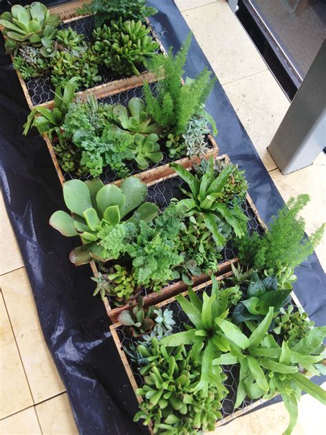 Vertical garden boxes ready for hanging - built by Petal Pushers ...