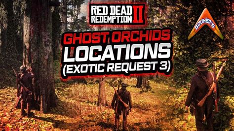 RDR2 - Ghost Orchids Locations (Exotic Request 3) - YouTube