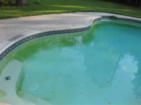 How to Get Rid of Mustard Algae in a Pool | Swimming pool maintenance, Gunite swimming pool ...