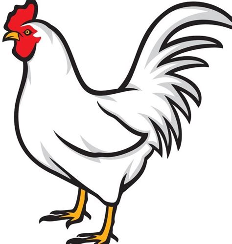 Free Simple Vector Chicken Illustration 02 - TitanUI