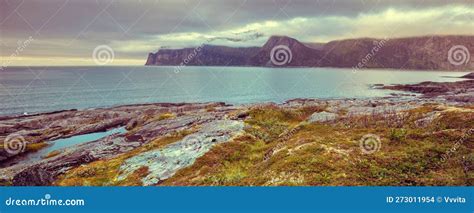 Fjord, Rocky Beach at Sunset. Wildlife Norway. Senja Island Stock Photo ...