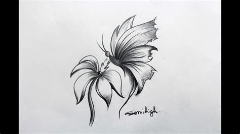 Drawing Butterfly On Flower Images - Draw-e