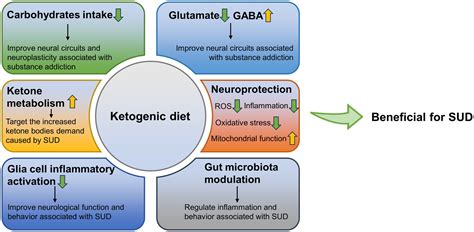 Frontiers | Ketogenic diet: a potential adjunctive treatment for substance use disorders