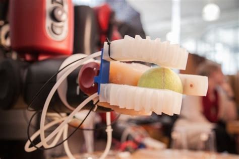 Soft robots are the way of the future | Design Indaba