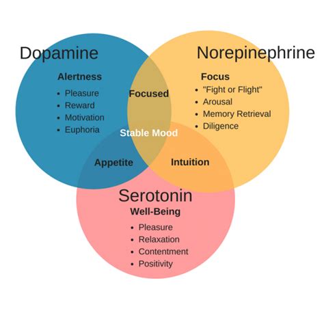 How To Raise Dopamine Levels Naturally- 7 Ways To Improve Mental Health ...