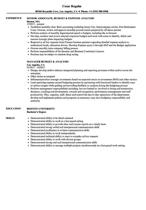 Budget Analyst Resume