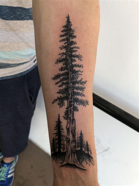 Redwood done by Avelourd Legaspi at 27 Tattoo PHX AZ | Tree tattoo designs, Tattoos for guys ...