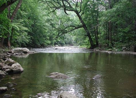 Restoration on the Way for New Jersey's Raritan River, Long Polluted by Industrial Waste ...