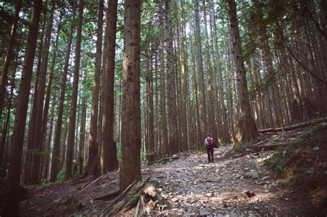 Two Brothers Trail Photo | Hiking Photo Contest | Vancouver Trails