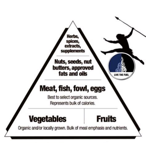 What's your food pyramid?! This one definitely is better than the governments idea! #Paleodiet # ...