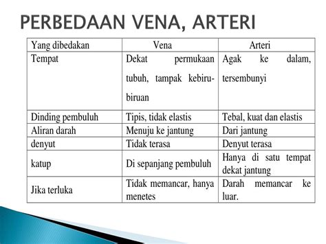 Perbedaan Pembuluh Darah Arteri Dan Vena Dalam Bentuk Hot Picture - Riset